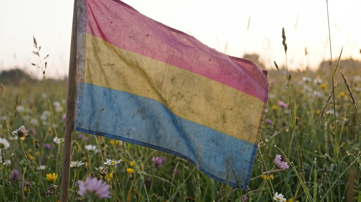 Zbliżenie na przypinki i wstążki w kolorach panseksualnej flagi na płóciennej torbie
